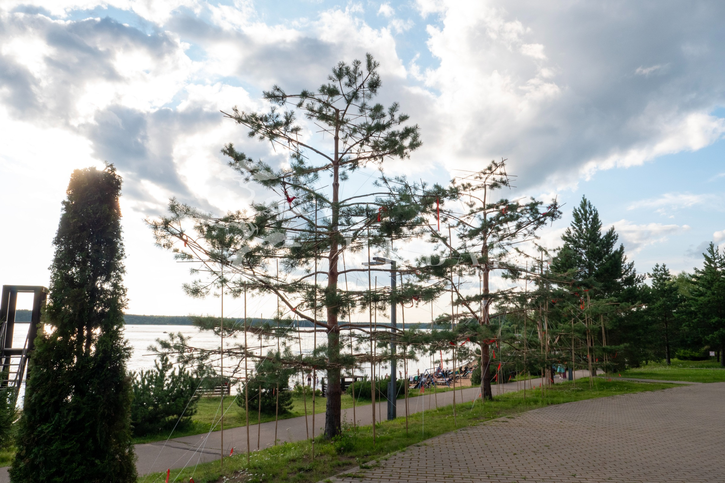 Прибрежная зона
